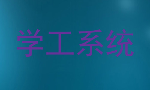 学工系统
