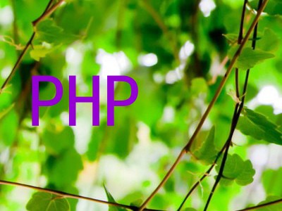 PHP