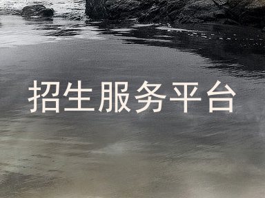 招生服务平台