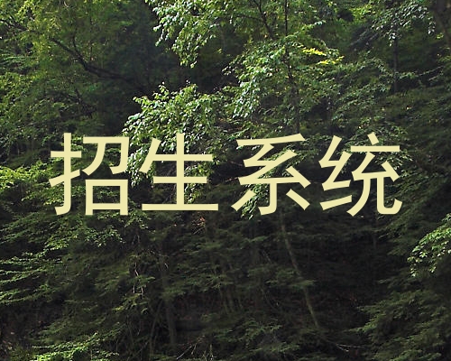 招生系统