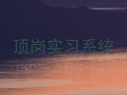顶岗实习系统
