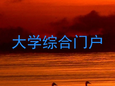 大学综合门户