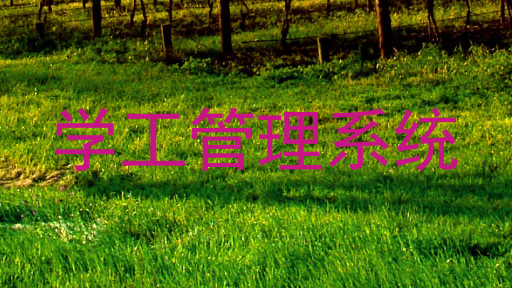 学工管理系统