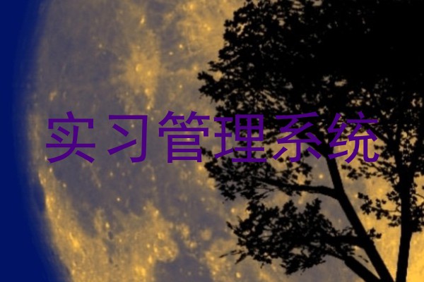 实习管理系统