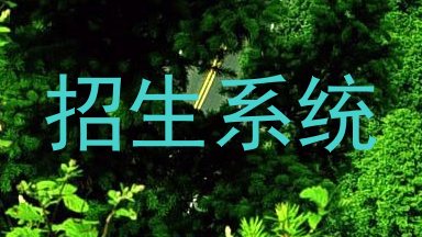 招生系统