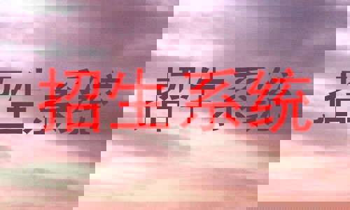 招生系统