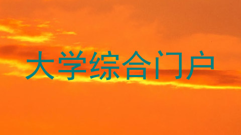 大学综合门户