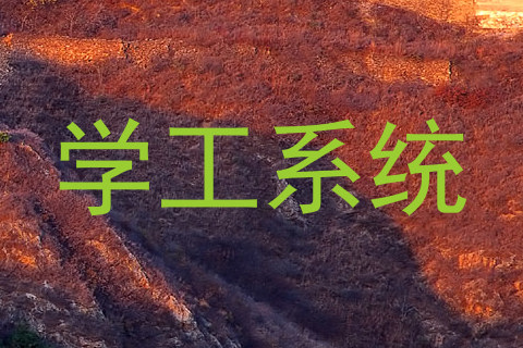 学工系统