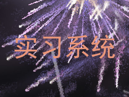 实习系统