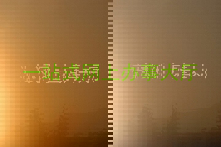 一站式网上办事大厅