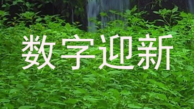 数字迎新