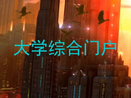 大学综合门户