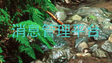 消息管理平台
