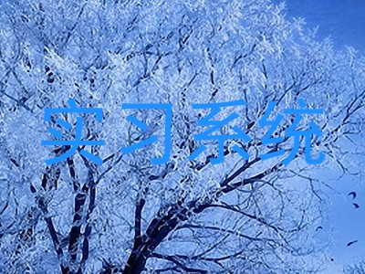 实习系统