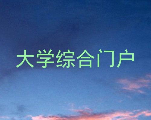 大学综合门户