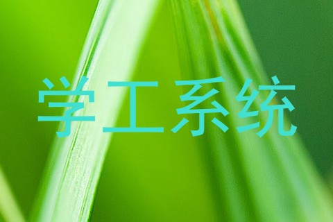 学工系统