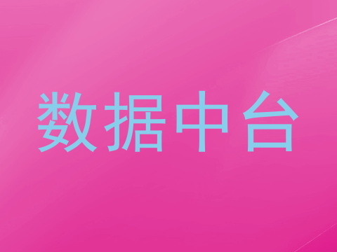 数据中台