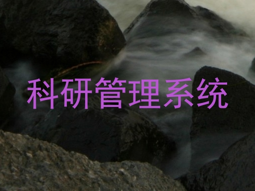 科研管理系统