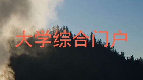 大学综合门户