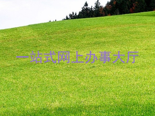 一站式网上办事大厅