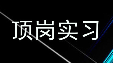 顶岗实习