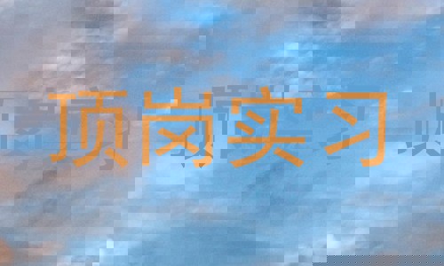 顶岗实习