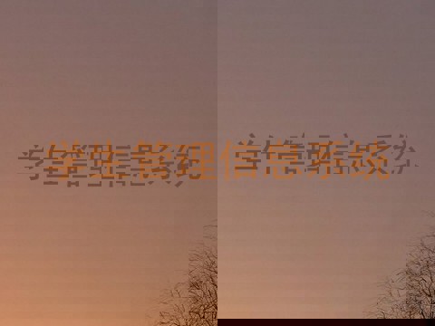 学生管理信息系统