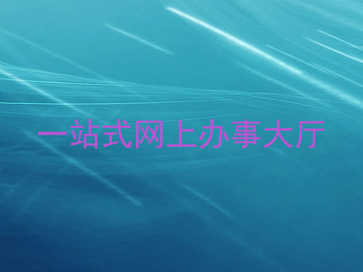 一站式网上办事大厅