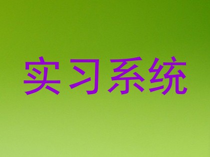 实习系统