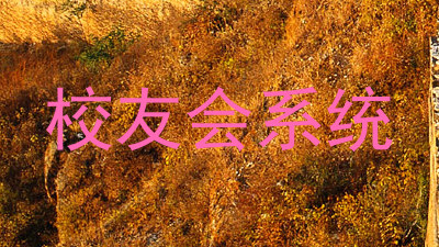 校友会系统