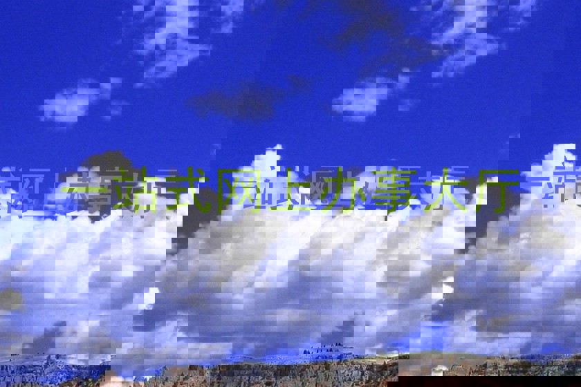 一站式网上办事大厅