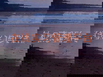 在线实习管理平台