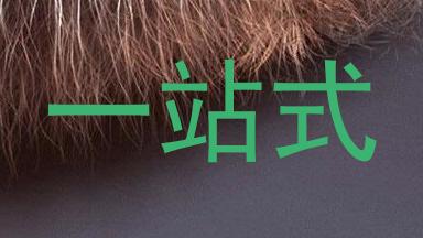 一站式