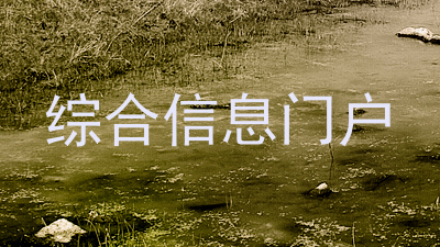 综合信息门户