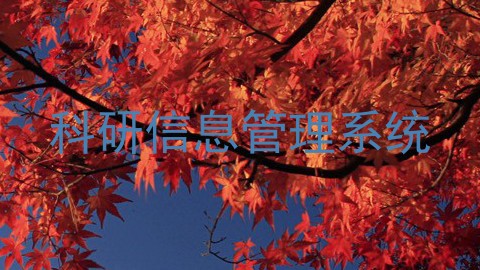 科研信息管理系统