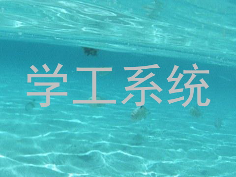 学工系统