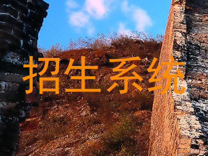 招生系统
