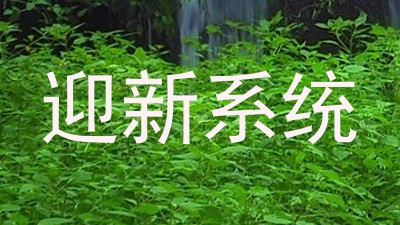 迎新系统