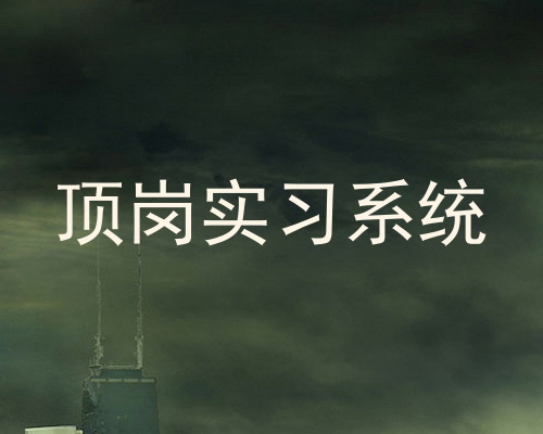顶岗实习系统