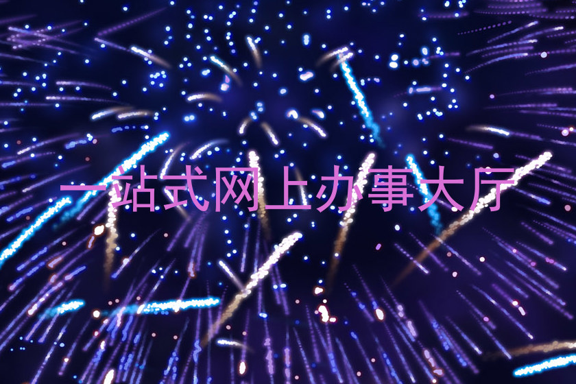 一站式网上办事大厅