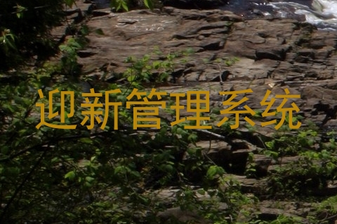 迎新管理系统