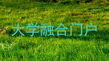 大学融合门户