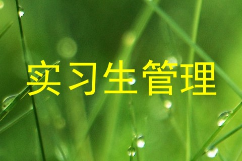 实习生管理