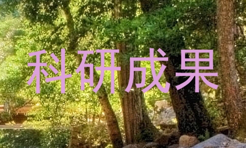 科研成果