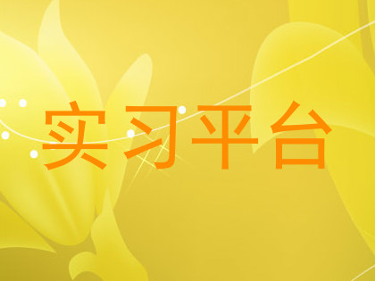 实习平台