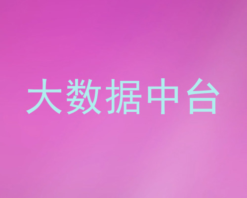 大数据中台