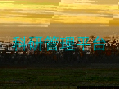 科研管理平台