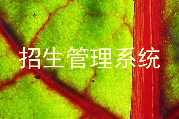 招生管理系统