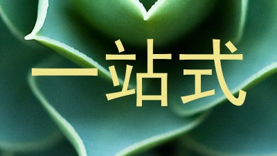 一站式
