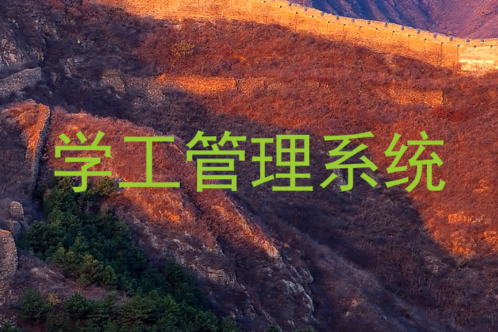 学工管理系统
